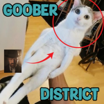 goober district