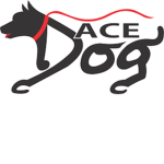 Ace Doge