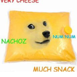 DOGE FAN CLUB with cheese