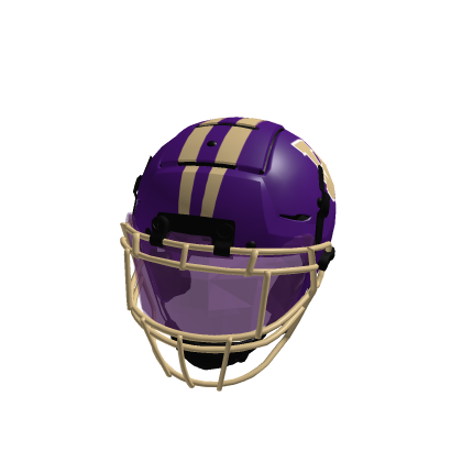 F7 washington purple visor accessory