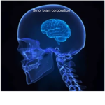 Smol brains corporation
