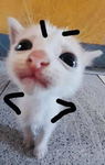 IMarymisteryRBX