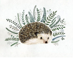 Happy Hedgehog!