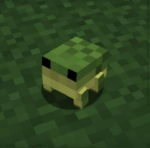 FrOg BeArRiEs