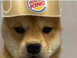 FREINDS OF JAN DOGES