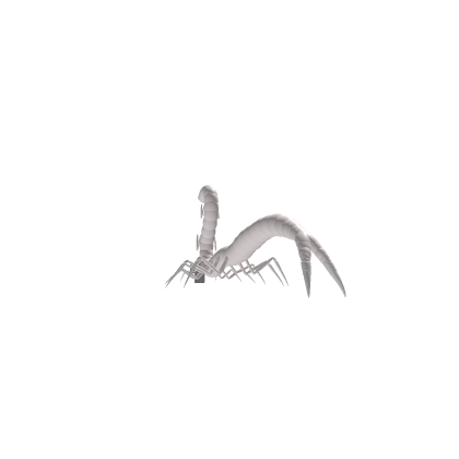 worm