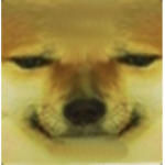 The Democracy of Dogemonori