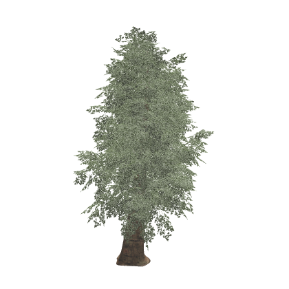 [👑✨] Realistic Tree Pack Trees Pine