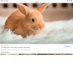 SAUVER LES LAPIN...