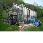 the greenhouse society