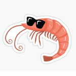 Shrimp bffs