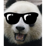 PANDA__ CLAN