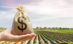 Money harvesters inc.