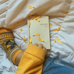 𝓅𝓊𝒻𝒻