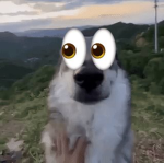 buh?