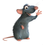 RISE OF RATS