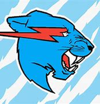 Mrbeast LLC!