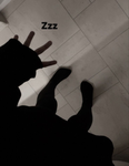 k!ttns