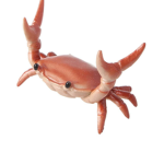 Chill Crab Club