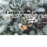 ~cactus dance group~