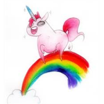 The Rainbow Buddies