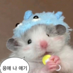 이쁘니만 들어와랁