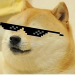Doge’s gang