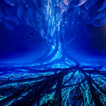 Prime Backgrounds
