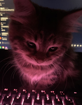 mimis kittys