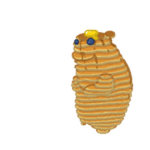 Pancake Chomik