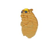 Pancake Chomik