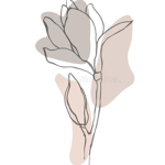 Lilly’s group/shop
