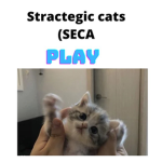 Strategic cats ( SECA )
