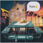 Little mouse live in n out
