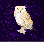 Space Owls Studios!