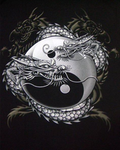 Dragon’s Den Karate