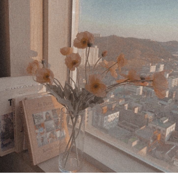 𝗱𝘀;; 𝗽𝗿𝗶𝗺𝘅𝗹𝗮𝗮