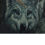 Viscous wolves