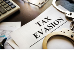 tax evasion is fun group