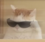 4rven