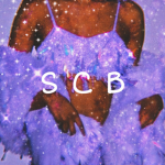 Sparkling Cherry Blossoms