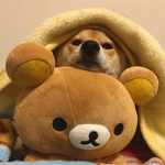 ʚ rila ɞ