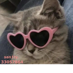 san1ty.