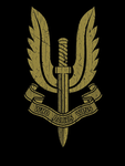 22 SAS A Squadron