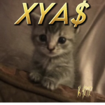 xya$