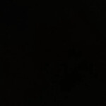 FloppaCity! (RETURNED)