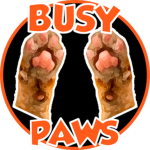 Busy Paws Studios