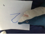 Bob the shark too