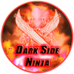 Dark Side Ninja