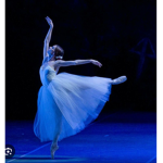 Royal Sapphire Dance Studio!